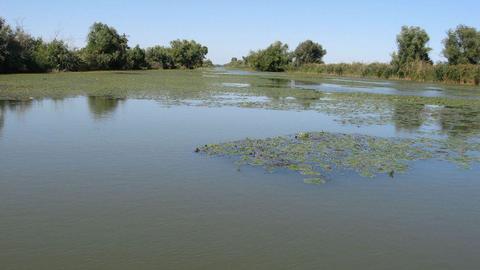 SC ECOTURISM DELTA DUNARII SRL vinde o afacere de succes