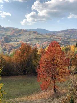 Vând teren în Răchițele, jud. Cluj