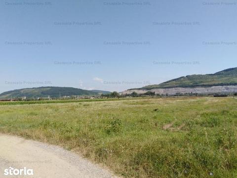 Teren intravilan, 56,420mp, zona industrial, Mintia-Deva