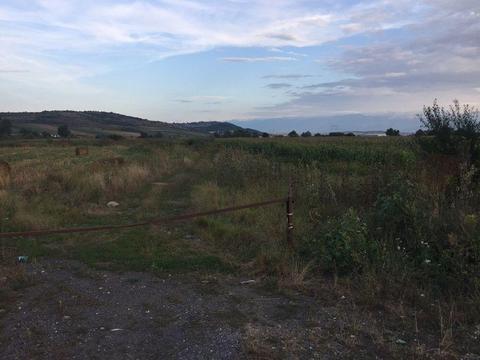 Teren 28.000 la 100 metri de iesirea autostrada medias