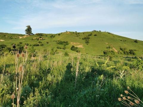 10 ari intravilan - zona Burdujeni - casa de apa