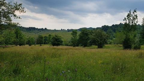 TEREN EXTRAVILAN - Comuna Bezdead, sat Magura, punct Valea Morii