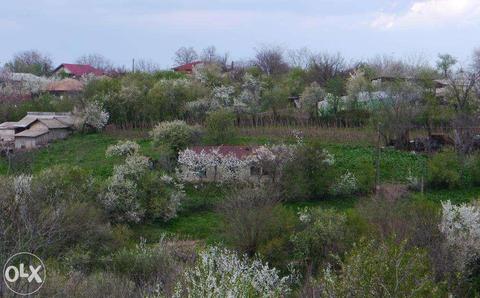 Teren 2550 mp intravilan in Daita, comuna Daia, jud.Giurgiu