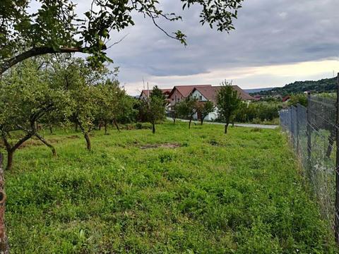 Teren 8 ari, Tautii Magheraus, str.4, toate utilitatile