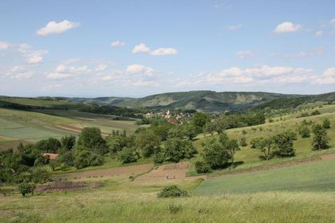 Vând teren intravilan cu livada în satul Păingeni