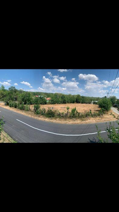 Teren intravilan in apropierea pădurii