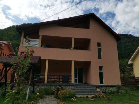 Vila 9 camere, Valea Lotrului, Sat Saliste - Bradisor, Comuna Malaia