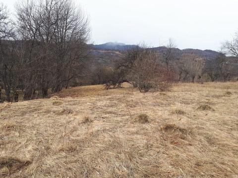 Teren extravilan 5000 mp Nucsoara
