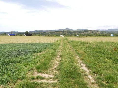 Vand teren agricol extravilan in Criseni