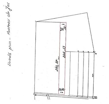 Teren intravilan Muntenii de Jos VASLUI