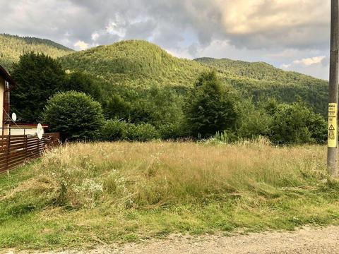 Teren Platou “Panta lui Radu”Cazaci Utilități Tarcau