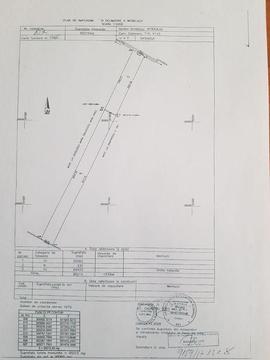 Teren intravilan curti constructii 95015 mp autostrada A1 PitestiOarja