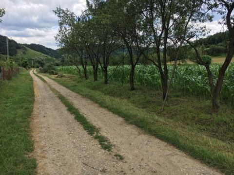 Vand teren cabana casa Sintejude -Vale