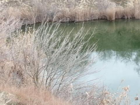 Vând Lac, 1 ha aflat pe un teren de 1,76 ha