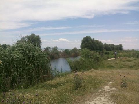 Teren Delta Dunarii
