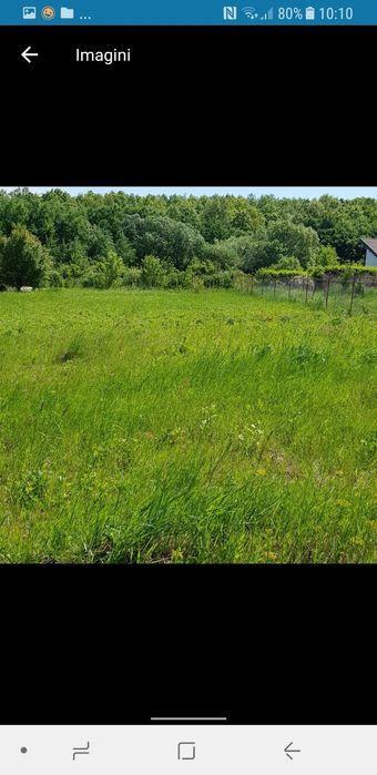 Paleu, zona frumoasă, lângă padure, utilitati langa parcela