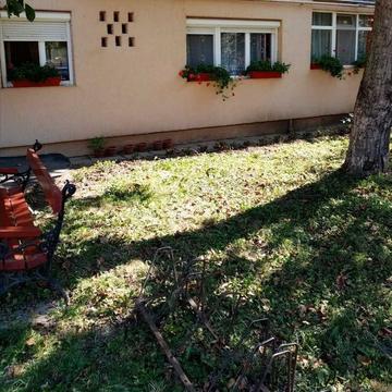 Apartament 2 camere la parter situat lângă Spitalul Municipal Carei