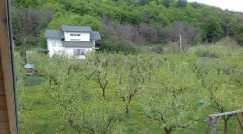 Vila, casă Mărăcineni