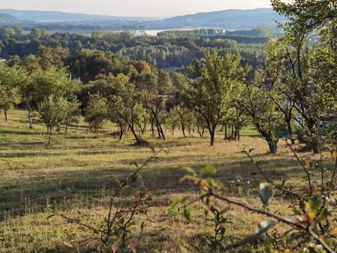 Teren de vânzare Daesti, Fedelesoiu