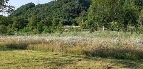 Teren de Vânzare in Drăgănesti Brezoi .Se vinde in mai multe bucati