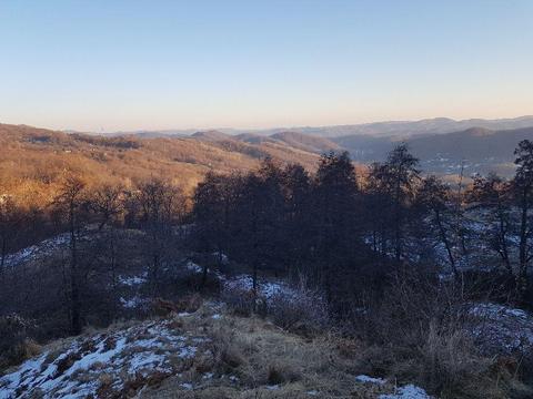 Teren faneata - Varfuri Dambovita