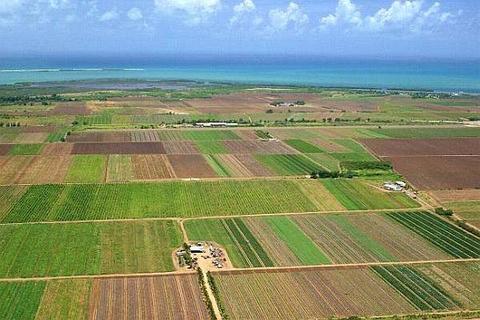 Teren agricol / arabil comuna Costache Negri jud. Galati