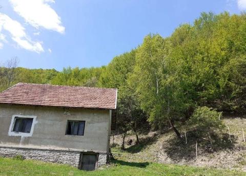 Casa de Vanzare Bulz (Munteni)