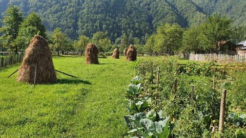 Teren Pascoaia (intre Brezoi si Voineasa)