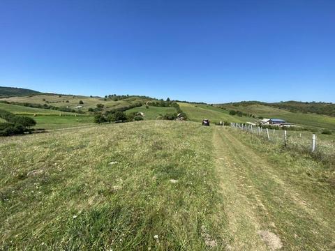 Vand teren extravilan zona Viisoara spre Sigmir