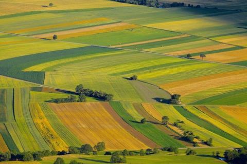 Vand 5 ha teren agricol jud Galati