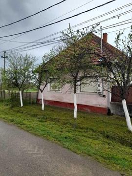 Vand casă cu grădină