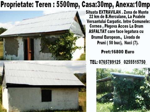 Proprietate 5000 mp.Teren Casa 30 mp. La Munte 25 km de Herculane