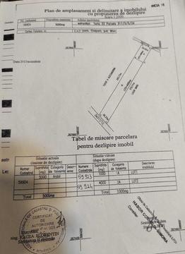 Teren Ciolpani 4000 mp intravilan vanzare 18 Eur/mp Usor negociabil