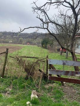 Vand teren Arges - Cetateni (Malu cu Flori) zona foarte frumoasa