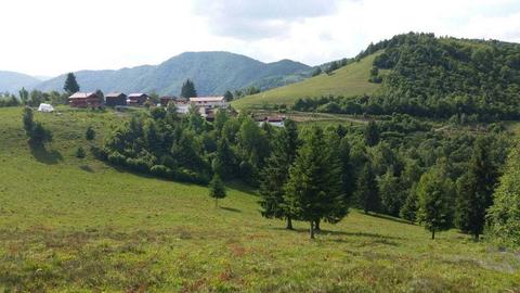 Teren de vanzare pentru dezvoltatori in Valea Ierii