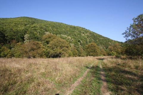 Proprietar vand teren ptr. cabana de vacanta in Muntii Poiana Ruscai