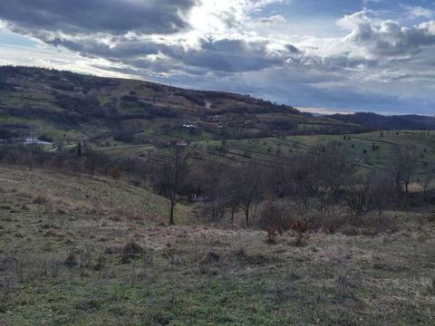 Vând teren în satul Certejul de Jos, comuna Vorța