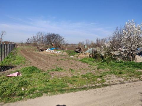 Loc de casa și casa in Amara