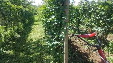 Teren intravilan(Budesti) schimb cu garsoniera